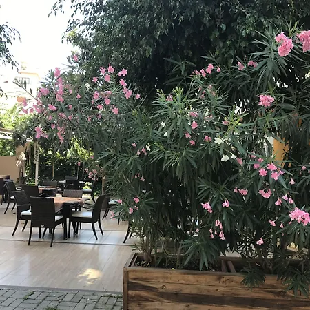 Narcis Aparthotel 4*