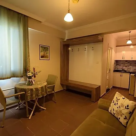 Narcis Alanya